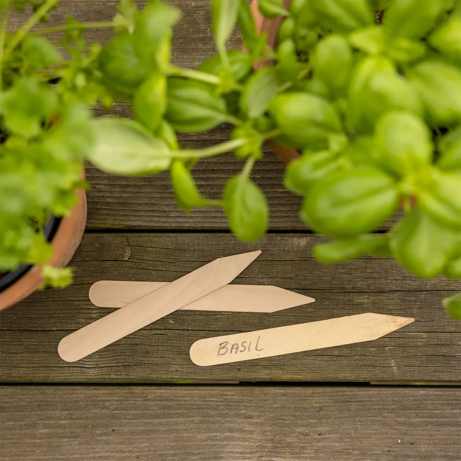 40 etiquetas de madera para plantas