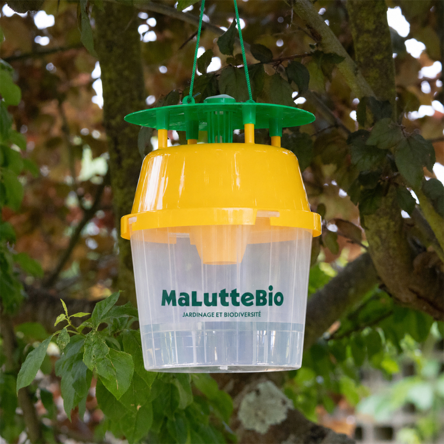 Universal pheromone trap "Funnel Trap" Maluttebio