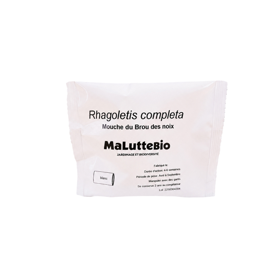 Feromona para la mosca del gusano de la nuez Maluttebio
