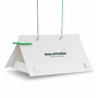 Trampa de feromonas para minador de los cítricos | Maluttebio