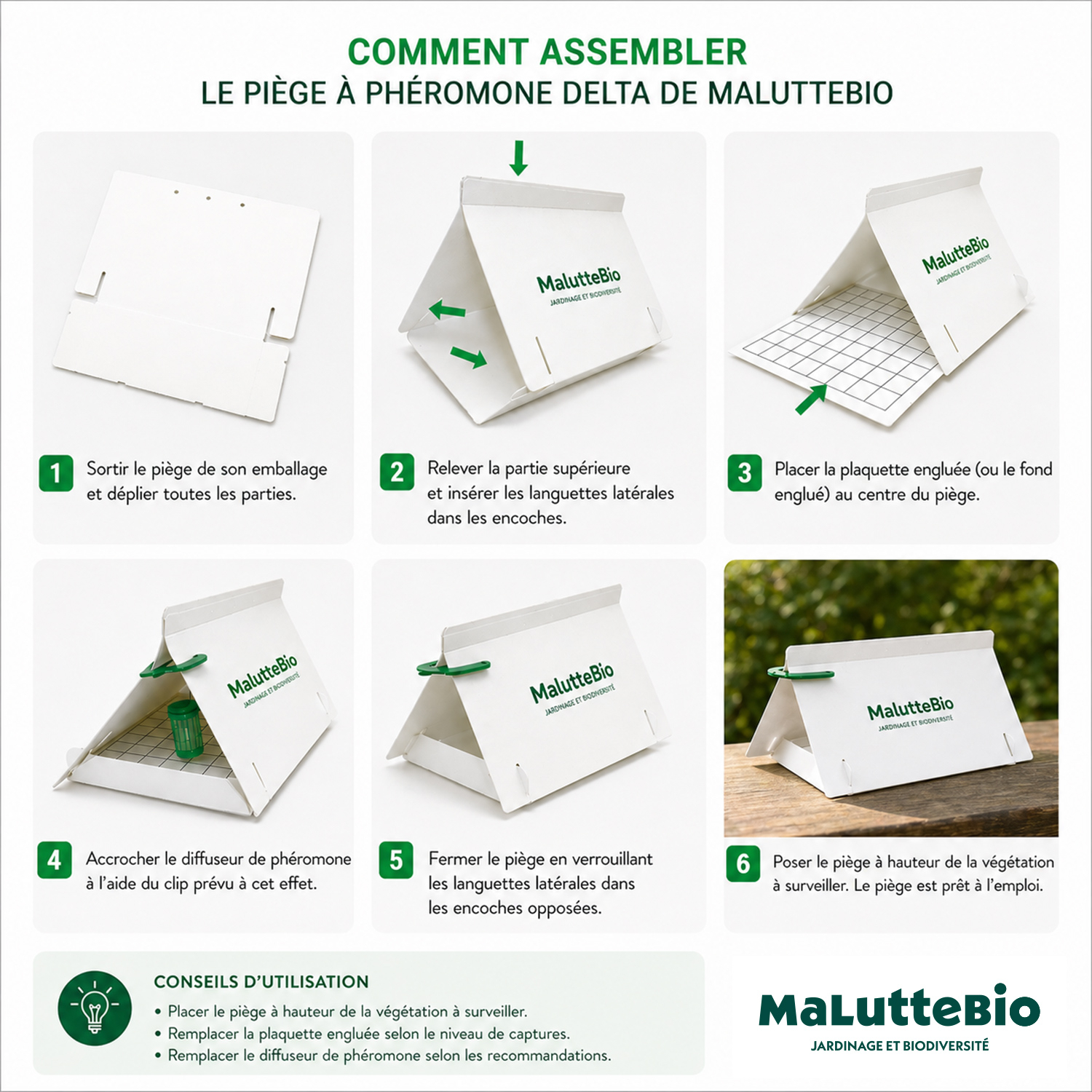 Trampa de feromonas para minador de los cítricos | Maluttebio