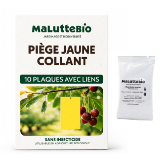 Trampa para la mosca de la cereza | Placas amarillas + atrayente | Maluttebio
