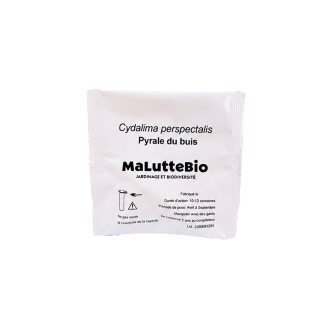 Feromona de la polilla del boj Maluttebio