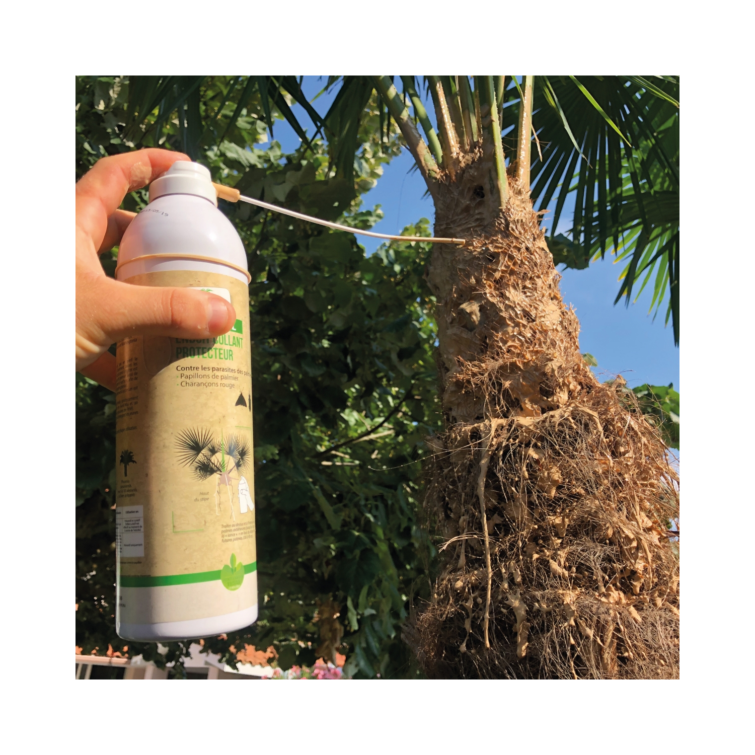 Biopalm® aerosol glu pour palmier