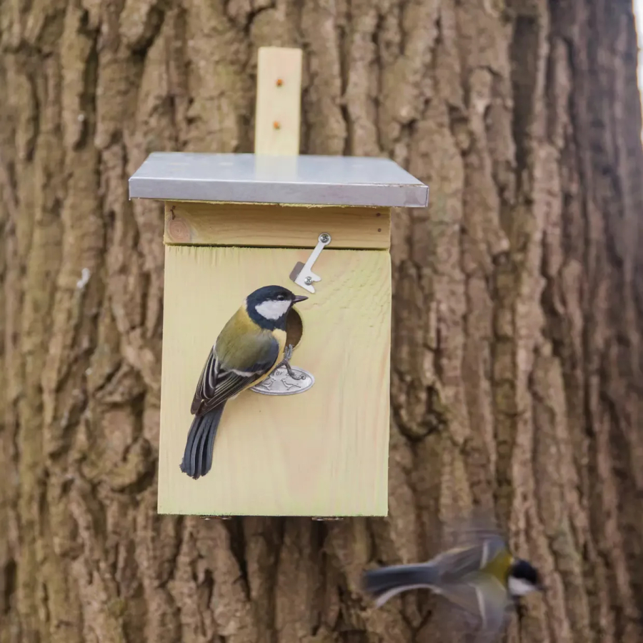 Nichoir mésange charbonnière en pin FSC Esschert design