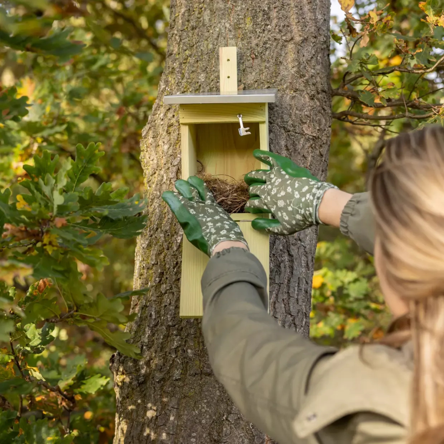 Nichoir mésange charbonnière en pin FSC Esschert design