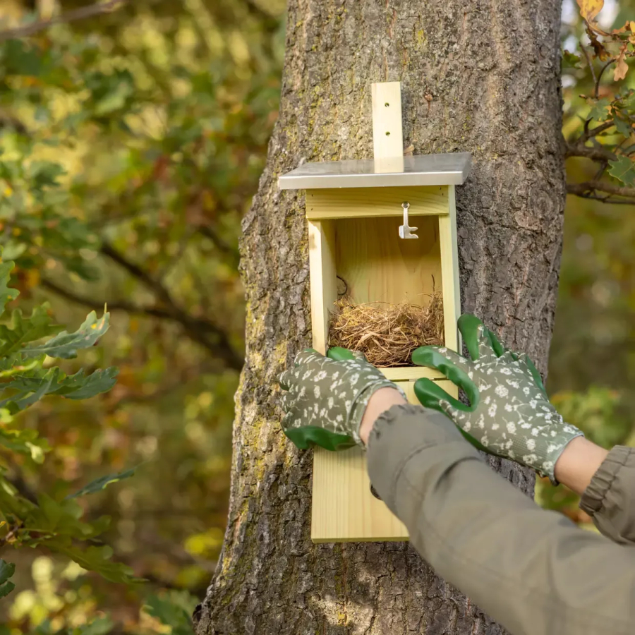 Nichoir mésange charbonnière en pin FSC Esschert design