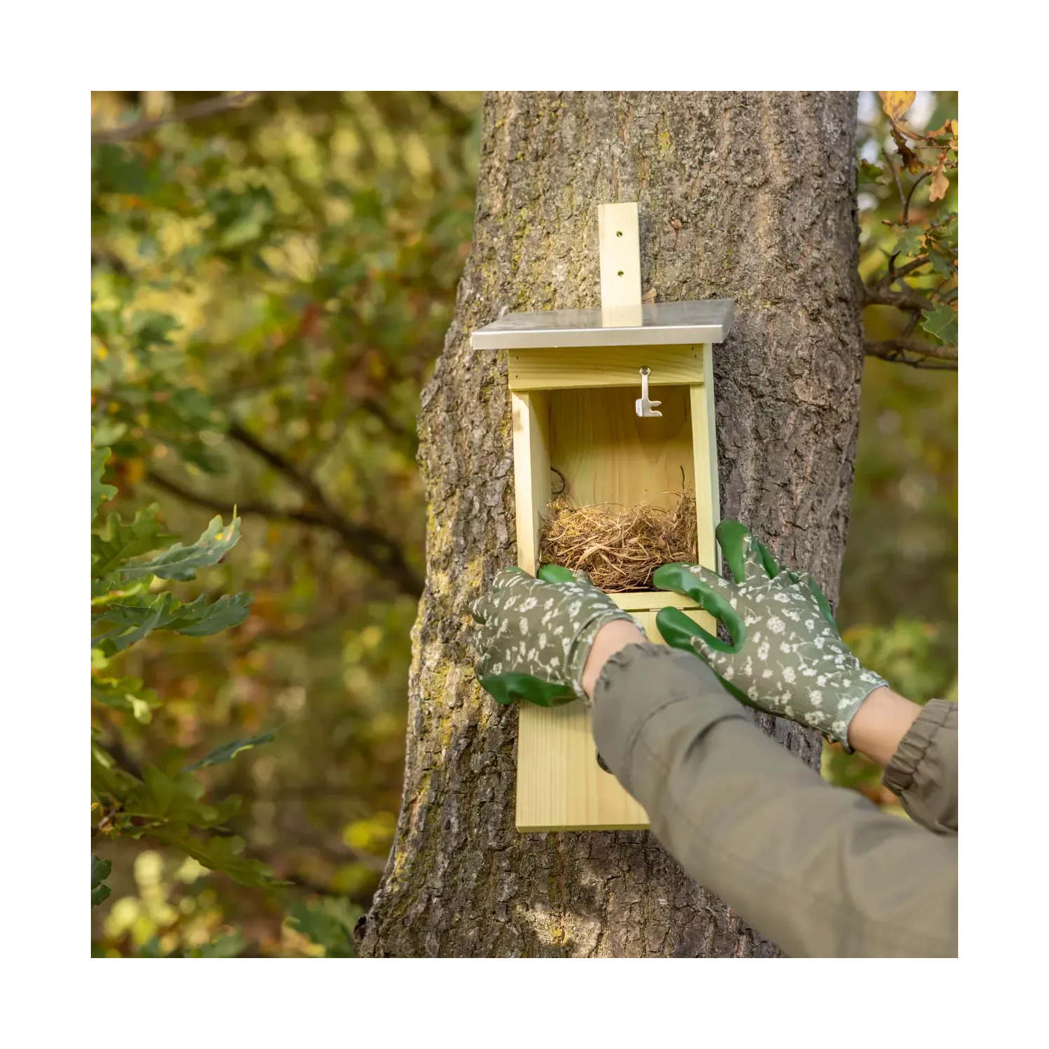 Nistkasten für Kohlmeisen Ø32 mm – dickes & langlebiges Holz 🐦