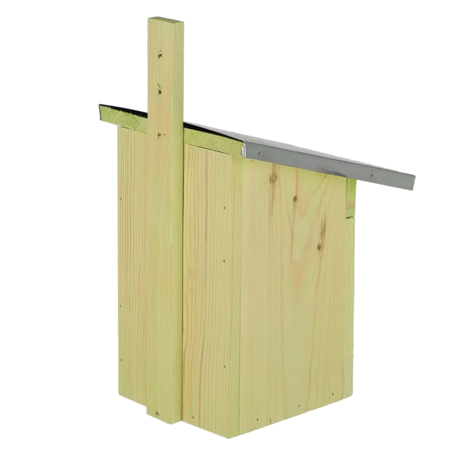 Great tit birdhouse Ø32 mm – thick & durable wood 🐦