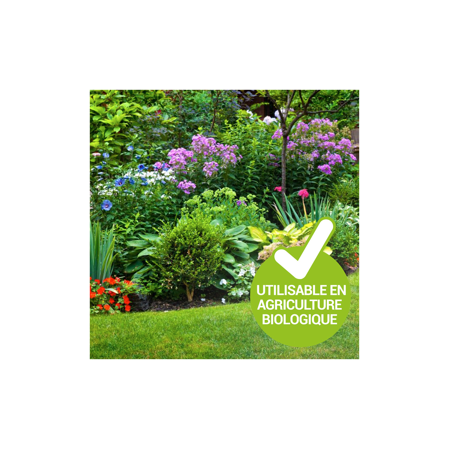 Schock-Insektizid-Konzentrat Pyrethrine 250 ml