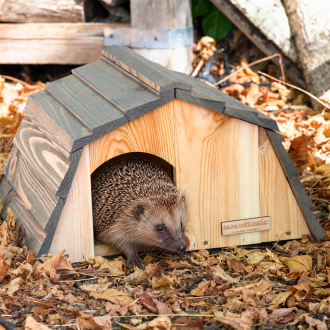 Solid wood hedgehog shelter with a grey roof, placed on dead leaves