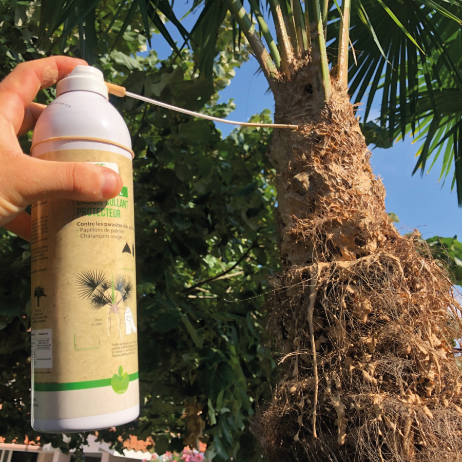 Biopalm® aerosol glu pour palmier