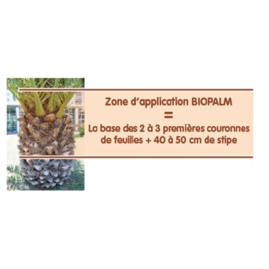 Biopalm® aerosol de pegamento para palmera