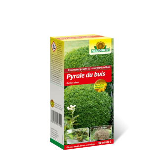 Insecticida de choque Polilla del Boj Spruzit concentrado Neurdoff