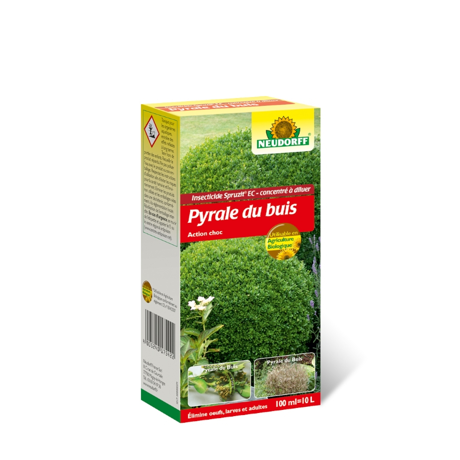 Insecticida de choque Polilla del Boj Spruzit concentrado Neurdoff