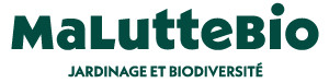 Logo Maluttebio.com