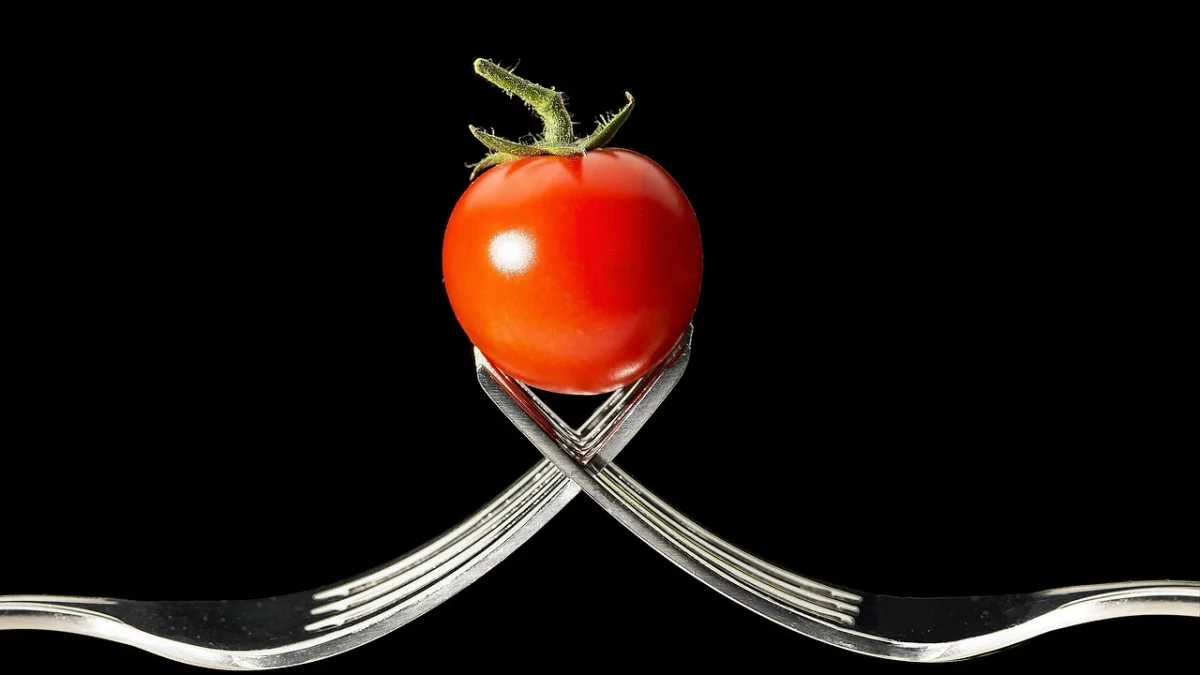 Aleurodes traitement : comment éliminer efficacement la mouche blanche au jardin