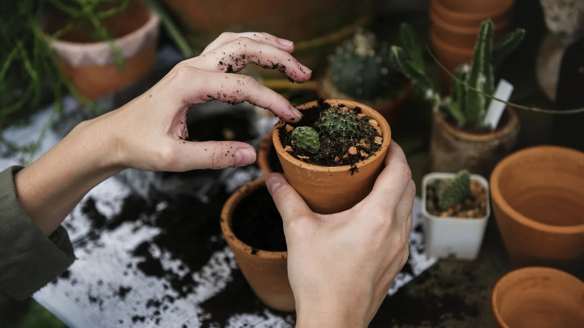 Des nématodes pour lutter contre les ravageurs : le guide complet
